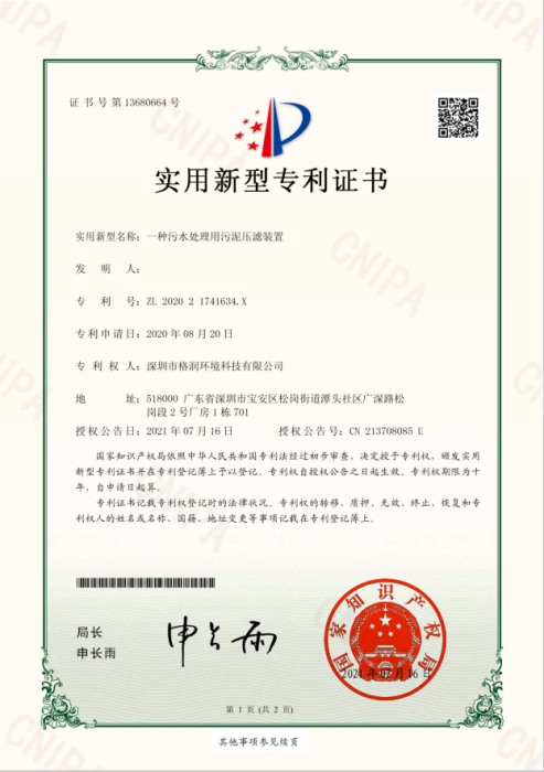 10专利